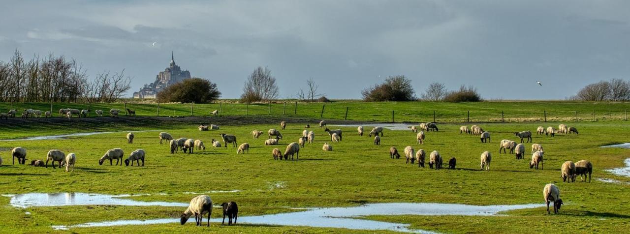 Gite Mont Saint Michel "Aucoeurdelabaie" Sains Esterno foto