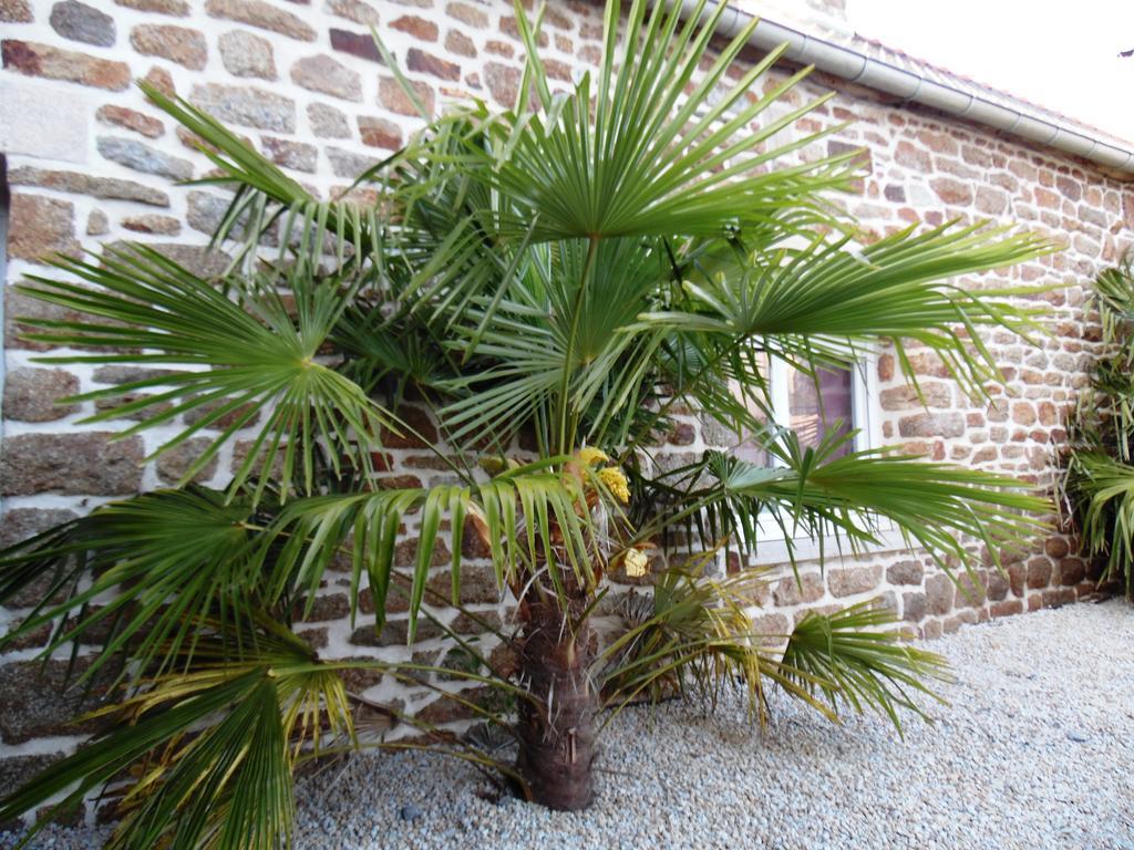 Gite Mont Saint Michel "Aucoeurdelabaie" Sains Esterno foto
